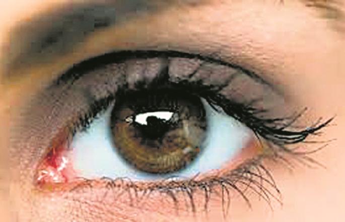 The eye donation movement should be more dynamic | नेत्रदान चळवळ अधिक गतिमान व्हावी