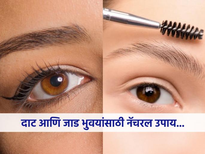 You can make eyebrows dark and broad with coconut oil, know how to use | विरळ झालेल्या भुवया दाट-जाड करायच्या असतील तर खोबरेल तेलाचा हा उपाय आजच करा