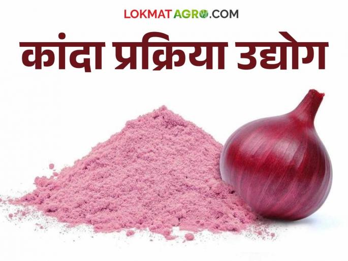Onion Processing: Onion processing industry will provide support; Income will increase even during recession | Onion Processing : कांदा प्रक्रिया उद्योग देईल साथ; मंदीच्या काळात देखील होणार उत्पन्नात वाढ