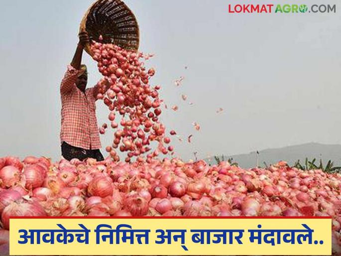 Due to lack of prices, transportation costs are also not covered; Signs of recession in onion market | दर नसल्याने वाहतूक खर्चही निघेना; कांदा बाजारात मंदीचे सावट Due to lack of prices, transportation costs are also not covered; Signs of recession in onion market | दर नसल्याने वाहतूक खर्चही निघेना; कांदा बाजारात मंदीचे सावट
