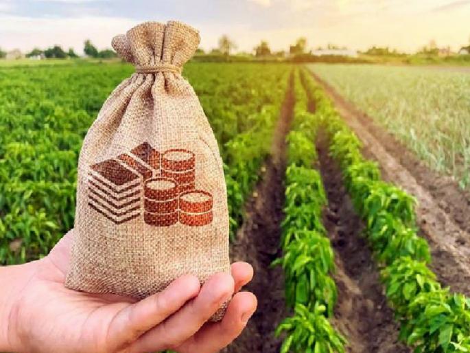 Crop loan supply to farmers will soon be on time Computerization of 4,500 institutions started | शेतकऱ्यांचा पीककर्जाचा पुरवठा लवकरच वेळेवर होणार; साडेचार हजार संस्थांचे संगणकीकरण सुरू Crop loan supply to farmers will soon be on time Computerization of 4,500 institutions started | शेतकऱ्यांचा पीककर्जाचा पुरवठा लवकरच वेळेवर होणार; साडेचार हजार संस्थांचे संगणकीकरण सुरू