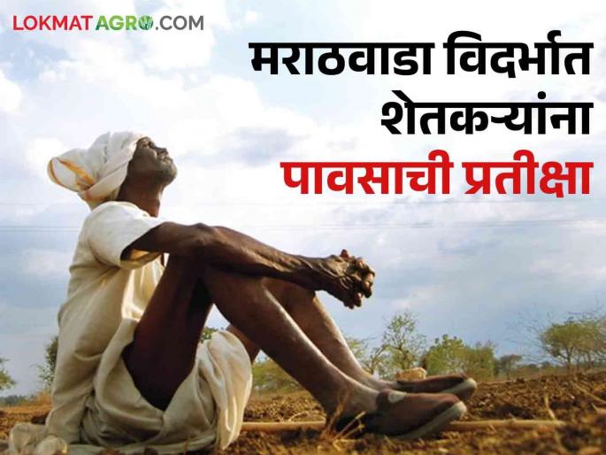 Maharashtra Rain Updates Wash in Konkan, Ghat area! Farmers are waiting for rain in Marathwada, Vidarbha | Maharashtra Rain Updates : कोकण, घाट परिसरात धोधो! मराठवाडा, विदर्भात शेतकरी करतायेत पावसाची प्रतीक्षा Maharashtra Rain Updates Wash in Konkan, Ghat area! Farmers are waiting for rain in Marathwada, Vidarbha | Maharashtra Rain Updates : कोकण, घाट परिसरात धोधो! मराठवाडा, विदर्भात शेतकरी करतायेत पावसाची प्रतीक्षा
