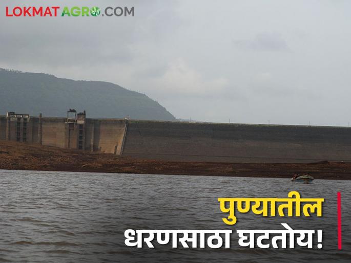 Pune Dam storage: Pune people use water sparingly, there is only so much water left in the dams | Pune Dam storage: पुणेकरांनाे पाणी जपून वापरा, धरणांमध्ये आता राहिलंय एवढं पाणी Pune Dam storage: Pune people use water sparingly, there is only so much water left in the dams | Pune Dam storage: पुणेकरांनाे पाणी जपून वापरा, धरणांमध्ये आता राहिलंय एवढं पाणी