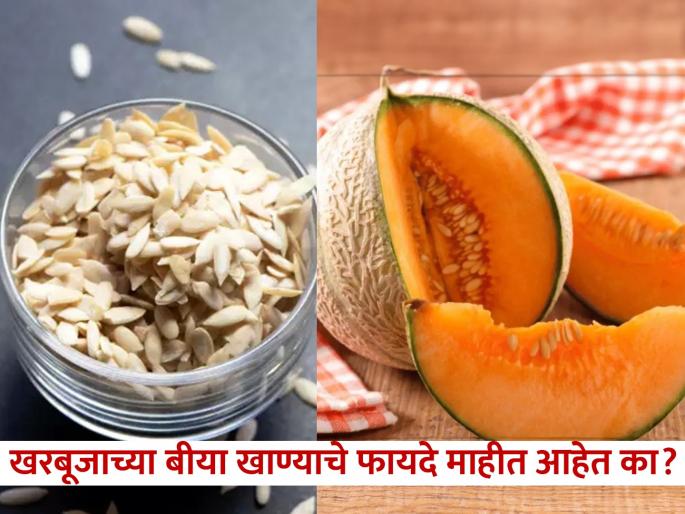 Muskmelon Seeds Benefits for lungs, kidneys, heart and cancer prevention | खरबूजाच्या बियांचे फायदे वाचाल तर कधी फेकणार नाही, दूर होतील अनेक समस्या Muskmelon Seeds Benefits for lungs, kidneys, heart and cancer prevention | खरबूजाच्या बियांचे फायदे वाचाल तर कधी फेकणार नाही, दूर होतील अनेक समस्या