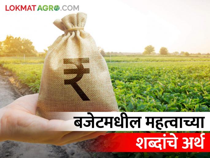 Do you know the meaning of these budget words? | बजेटच्या या शब्दांचे अर्थ तुम्हाला माहित आहेत का? Do you know the meaning of these budget words? | बजेटच्या या शब्दांचे अर्थ तुम्हाला माहित आहेत का?