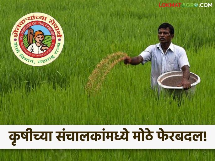Who is the new director of agricultural inputs and quality control? Transfers of directors in the agriculture department | कृषीच्या निविष्ठा व गुणनियंत्रणचे नवे संचालक कोण? कृषी विभागातील संचालकांच्या बदल्या