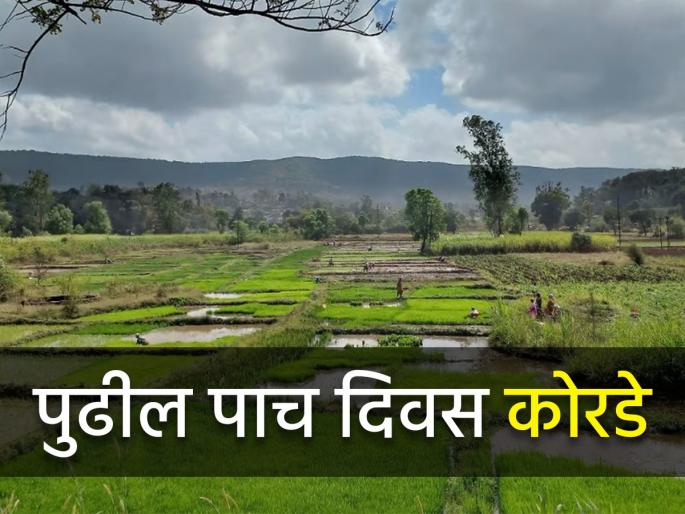 How will the weather be in the state for the next five days? | राज्यात पुढील पाच दिवस कसे असणार हवामान?