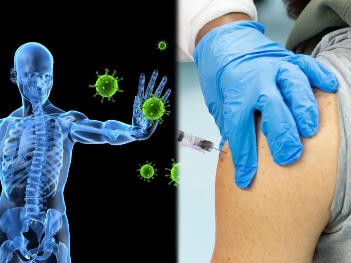 Corona Vaccine : Know how a vaccine protect human body against infections or disease | Corona Vaccine : काय असते वॅक्सीन? व्हायरसवर अटॅक करण्यासाठी इम्यूनला कशी करते तयार? Corona Vaccine : Know how a vaccine protect human body against infections or disease | Corona Vaccine : काय असते वॅक्सीन? व्हायरसवर अटॅक करण्यासाठी इम्यूनला कशी करते तयार?