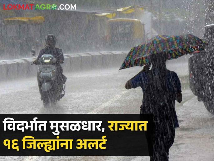 Monsoon Alert Maharashtra: Yellow alert for rain in 16 districts of Vidarbha today including Musaldhar, Nagar, Pune | Maharashtra Monsoon Alert: आज विदर्भात मुसळधार; नगर, पुण्यासह १६ जिल्ह्यांना पावसाचा 'यलो अलर्ट' Monsoon Alert Maharashtra: Yellow alert for rain in 16 districts of Vidarbha today including Musaldhar, Nagar, Pune | Maharashtra Monsoon Alert: आज विदर्भात मुसळधार; नगर, पुण्यासह १६ जिल्ह्यांना पावसाचा 'यलो अलर्ट'