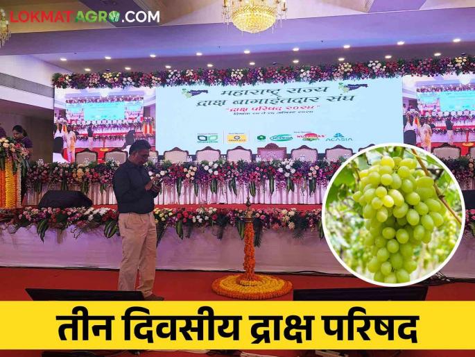 Grapes Conference 'Draksha Parishad' for three days from today. | Grapes Conference : द्राक्ष बागायतदार संघाची आजपासून तीन दिवस 'द्राक्ष परिषद' Grapes Conference 'Draksha Parishad' for three days from today. | Grapes Conference : द्राक्ष बागायतदार संघाची आजपासून तीन दिवस 'द्राक्ष परिषद'