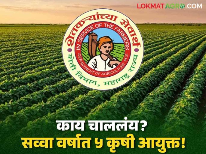 Agriculture Commissioner Government's neglect of the agriculture department! 5 new agriculture commissioners in a year and a half | Agriculture Commissioner : कृषी विभागाकडे सरकारचे दुर्लक्ष! सव्वा वर्षात ५ नवे कृषी आयुक्त Agriculture Commissioner Government's neglect of the agriculture department! 5 new agriculture commissioners in a year and a half | Agriculture Commissioner : कृषी विभागाकडे सरकारचे दुर्लक्ष! सव्वा वर्षात ५ नवे कृषी आयुक्त