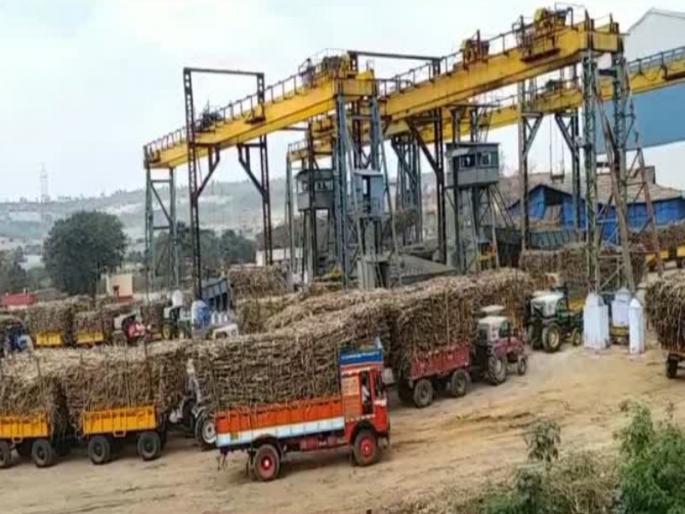 This year sugarcane crushing season will start on October 1 | यंदा राज्यात ऊस गाळप हंगाम १ ऑक्टोबरलाच सुरू करणार This year sugarcane crushing season will start on October 1 | यंदा राज्यात ऊस गाळप हंगाम १ ऑक्टोबरलाच सुरू करणार