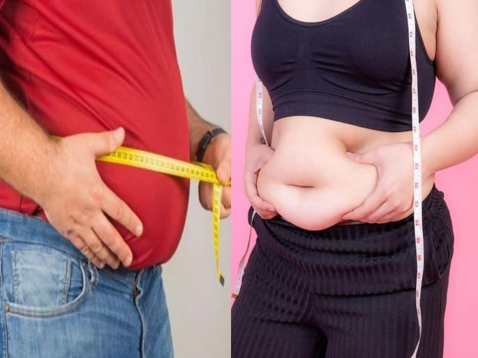 diet to weight loss include these 5 fibre rich foods in your weight loss diet | वजन वाढलंय? टेन्शन नको...! कमी करण्यात मेडिसीन प्रमाणे काम करतात या 5 फायबरयुक्त गोष्टी, आजपासूनच खायला सुरुवात करा diet to weight loss include these 5 fibre rich foods in your weight loss diet | वजन वाढलंय? टेन्शन नको...! कमी करण्यात मेडिसीन प्रमाणे काम करतात या 5 फायबरयुक्त गोष्टी, आजपासूनच खायला सुरुवात करा