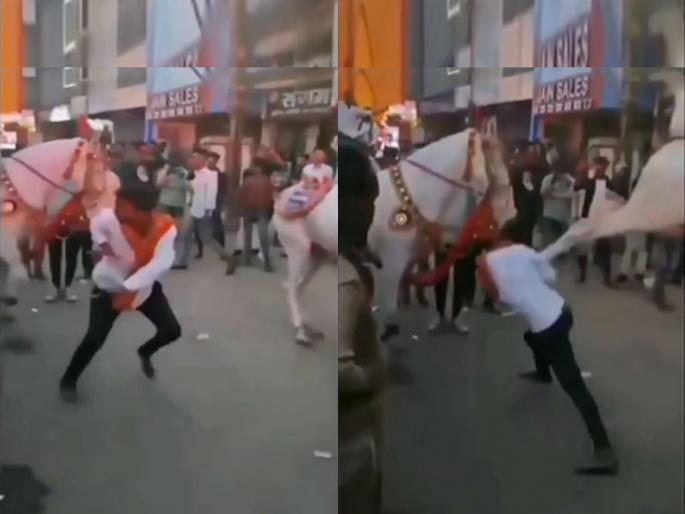 A man was doing strange dance in the wedding rally, was kicked by a horse Watch the video | लग्नाच्या वरातीत करत होता 'विचित्र' डान्स, घोड्यानं मारली लाथ अन्...; पाहा Video A man was doing strange dance in the wedding rally, was kicked by a horse Watch the video | लग्नाच्या वरातीत करत होता 'विचित्र' डान्स, घोड्यानं मारली लाथ अन्...; पाहा Video