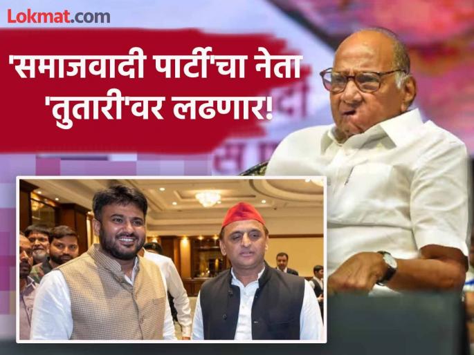 fahad ahmad first reaction after announced as candidate from anushakti nagar assembly election by sharad pawar's ncp |  शरद पवारांनी दिलं तिकीट; कोणत्या मुद्द्यावर लढणार निवडणूक, काय म्हणाले फहाद अहमद? fahad ahmad first reaction after announced as candidate from anushakti nagar assembly election by sharad pawar's ncp |  शरद पवारांनी दिलं तिकीट; कोणत्या मुद्द्यावर लढणार निवडणूक, काय म्हणाले फहाद अहमद?