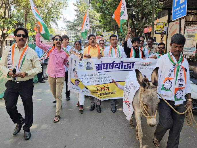 NCP's 'Donkey March' to Protest BJP Government | भाजप सरकारच्या निषेधार्थ राष्ट्रवादी काँग्रेसचा 'गाढव मोर्चा' NCP's 'Donkey March' to Protest BJP Government | भाजप सरकारच्या निषेधार्थ राष्ट्रवादी काँग्रेसचा 'गाढव मोर्चा'
