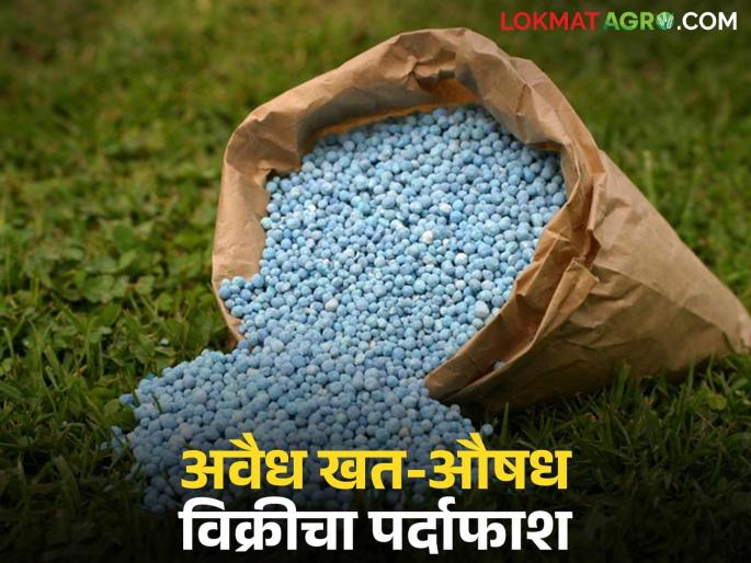 latest news Fake Fertilizer: No license, no bill; Agriculture Department takes major action against illegal sale of fertilizers and pesticides | Fake Fertilizer : परवाना नाही, बिल नाही; कृषी विभागाने अवैध खत-औषध विक्री विरोधात केली मोठी कारवाई