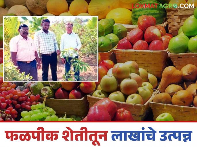 Latest News Successful experiment of intercropping with fruit farming by jalgaon retired headmaster | Farmer Success Story : फळपिकांच्या शेतीसह आंतरपिकांचा यशस्वी प्रयोग, सेवानिवृत्त मुख्याध्यापकाची कमाल   Latest News Successful experiment of intercropping with fruit farming by jalgaon retired headmaster | Farmer Success Story : फळपिकांच्या शेतीसह आंतरपिकांचा यशस्वी प्रयोग, सेवानिवृत्त मुख्याध्यापकाची कमाल