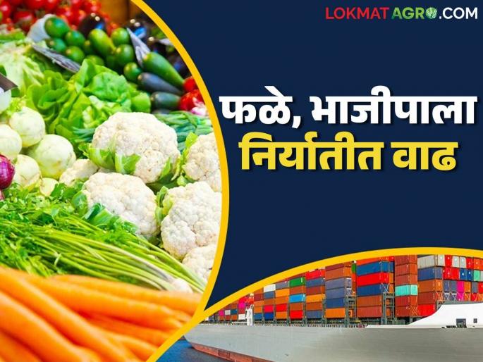 Agri Export from India : Huge increase in fruit and vegetable exports from the country: Exports are being made to 123 countries | Agri Export from India : देशातील फळे आणि भाजीपाला निर्यातीत मोठी वाढ: १२३ देशांमध्ये होतेय निर्यात Agri Export from India : Huge increase in fruit and vegetable exports from the country: Exports are being made to 123 countries | Agri Export from India : देशातील फळे आणि भाजीपाला निर्यातीत मोठी वाढ: १२३ देशांमध्ये होतेय निर्यात