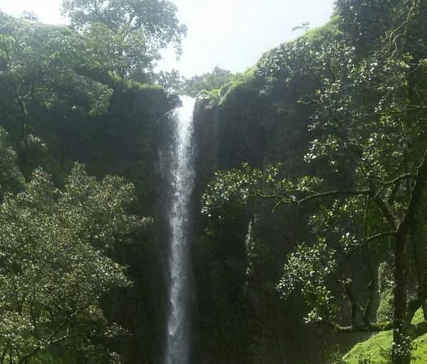 Smoke rains in Chandoli area, water supply increased in 24 hours | चांदोली पाणलोट क्षेत्रात धुवॉँधार पाऊस, २४ तासांत पाणीसाठ्यात वाढ Smoke rains in Chandoli area, water supply increased in 24 hours | चांदोली पाणलोट क्षेत्रात धुवॉँधार पाऊस, २४ तासांत पाणीसाठ्यात वाढ