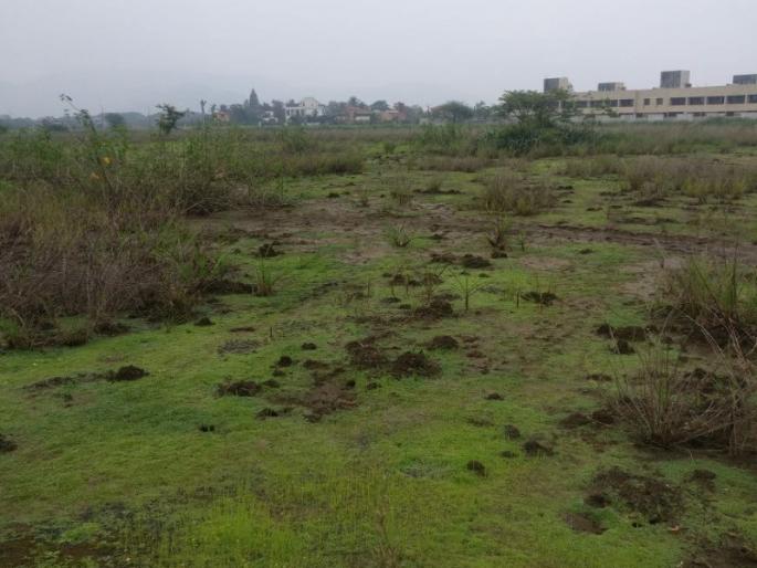 Farmers will get back the land taken due to reason of for industries in the district | जिल्ह्यातल्या उद्योगासाठी घेतलेल्या जमिनी शेतकऱ्यांना मिळणार परत  Farmers will get back the land taken due to reason of for industries in the district | जिल्ह्यातल्या उद्योगासाठी घेतलेल्या जमिनी शेतकऱ्यांना मिळणार परत