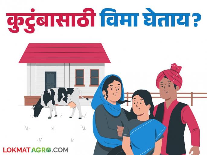 Before buying insurance for the family, these important things must be known; Read in detail | कुटुंबासाठी विमा घेण्यापूर्वी ह्या महत्वाच्या गोष्टी माहिती असणे आवश्यक; वाचा सविस्तर