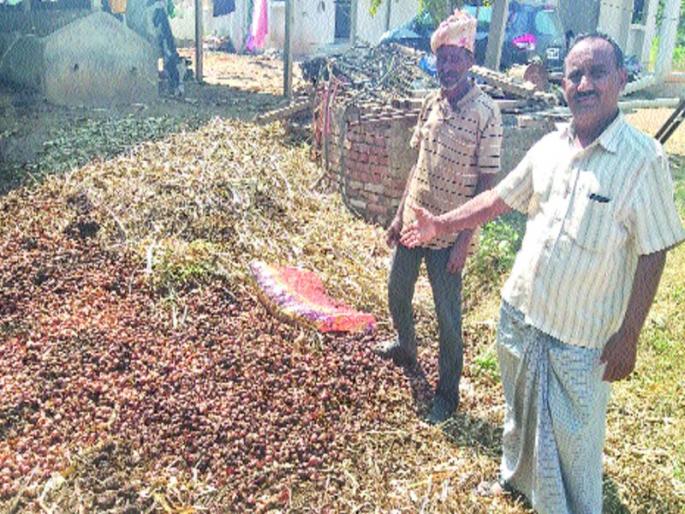 Five tonnes of onion is not available at the cost of production | पाच टन कांदा फेकला उकिरड्यावर, उत्पादनाच्या खर्चाइतकाही दर नाही Five tonnes of onion is not available at the cost of production | पाच टन कांदा फेकला उकिरड्यावर, उत्पादनाच्या खर्चाइतकाही दर नाही