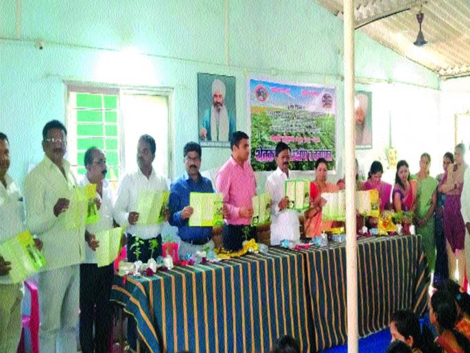 Rainfall also leads to loss of orchards, farmers in Worried | पावसामुळे फळबागांचेही नुकसान, शेतकरी हवालदिल Rainfall also leads to loss of orchards, farmers in Worried | पावसामुळे फळबागांचेही नुकसान, शेतकरी हवालदिल