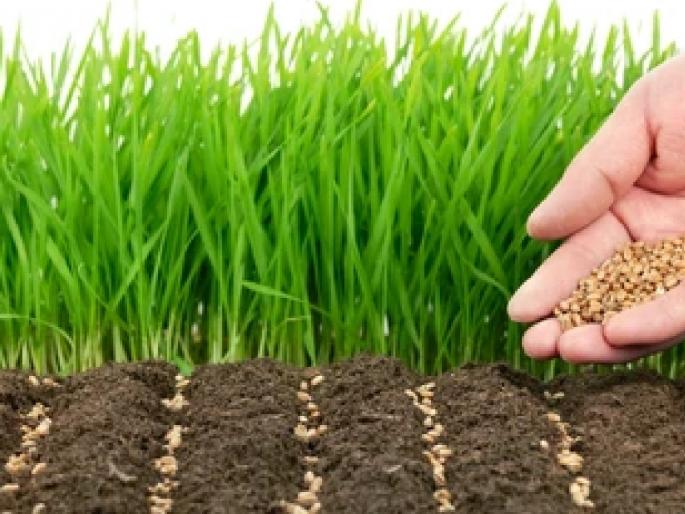 Doubling in the price of herbicides and fertilizers, | शेती करायची की, सोडून द्यायची..?, तणनाशक, खतांच्या दरात दुपटीने वाढ Doubling in the price of herbicides and fertilizers, | शेती करायची की, सोडून द्यायची..?, तणनाशक, खतांच्या दरात दुपटीने वाढ