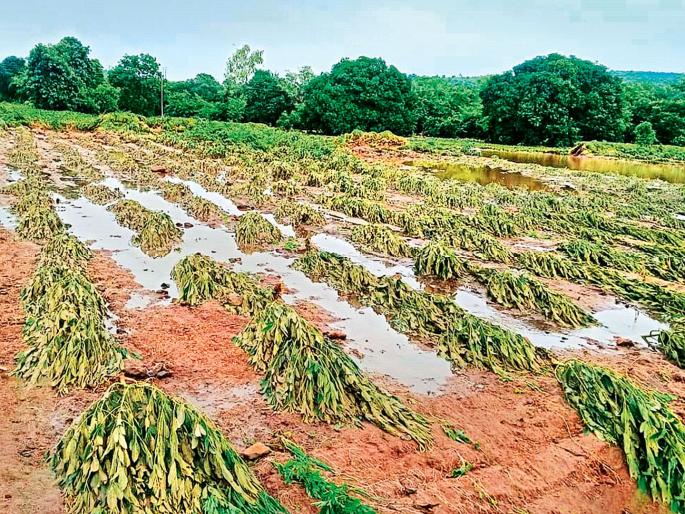 Maharashtra Flood relief: Farmers will be helped by changing the criteria for heavy rainfall; Proposal to help even for blocked wells | अतिवृष्टीचे निकष बदलून शेतकऱ्यांना करणार मदत; बुजलेल्या विहिरींनाही मदतीचा प्रस्ताव