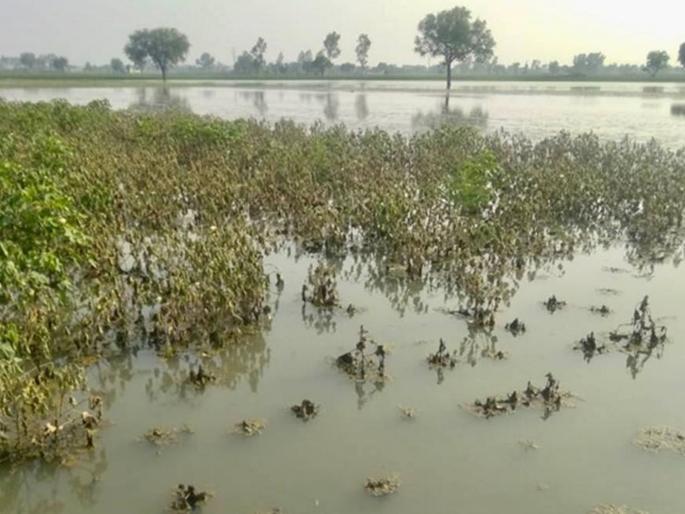damage done by the heavy rain will be inspected after two months | बैल गेला अन् झोपा केला; नुकसानीची दोन महिन्यांनी पाहणी होणार
