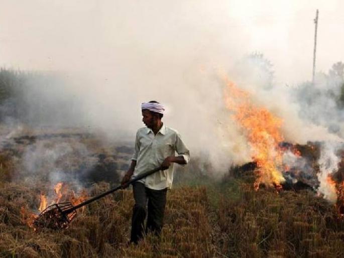 Corona causes contamination of farm waste | कोरोनामुळे शेतातील काडीकचऱ्याचे प्रदूषण जीवघेणे Corona causes contamination of farm waste | कोरोनामुळे शेतातील काडीकचऱ्याचे प्रदूषण जीवघेणे