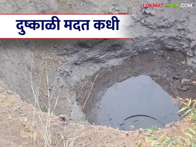 Drought financial assistance to farmers stuck in red tape | शेतकऱ्यांची दुष्काळी आर्थिक मदत अडकली लाल फितीत