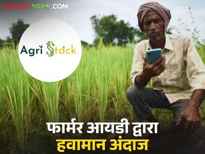 Latest News Farmer ID will provide weather updates on mobile see details | Farmer Id : तुमच्याजवळ फार्मर आयडी असेल तर ही फायद्याची सुविधा मोफत मिळेल