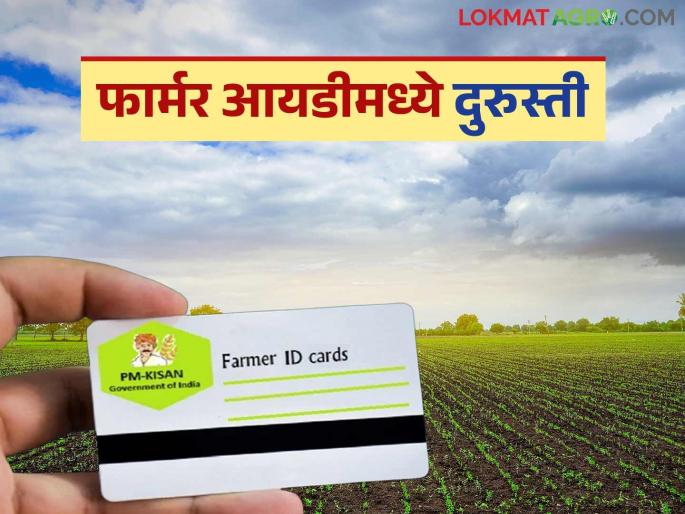 Latest News Farmer id correction How to make correction in Farmer ID online Know in detail | Farmer id Correction : फार्मर आयडीमध्ये ऑनलाईन दुरुस्ती कशी करावी? जाणून घ्या सविस्तर  Latest News Farmer id correction How to make correction in Farmer ID online Know in detail | Farmer id Correction : फार्मर आयडीमध्ये ऑनलाईन दुरुस्ती कशी करावी? जाणून घ्या सविस्तर