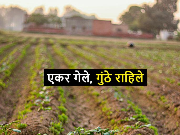 why farmers are loosing lands in Konkan | एकरात नव्हे गुंठ्यात राहिली शेतजमीन; शेतकरी कामाच्या शोधात शहरांकडे why farmers are loosing lands in Konkan | एकरात नव्हे गुंठ्यात राहिली शेतजमीन; शेतकरी कामाच्या शोधात शहरांकडे