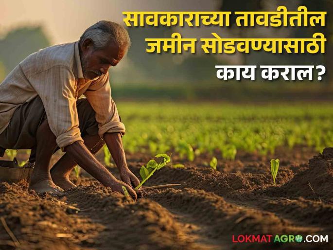 Latest News How to get back farm land held by the moneylender see details | Farm Land : सावकाराने हडप केलेली जमीन परत कशी मिळवायची? वाचा सविस्तर  Latest News How to get back farm land held by the moneylender see details | Farm Land : सावकाराने हडप केलेली जमीन परत कशी मिळवायची? वाचा सविस्तर