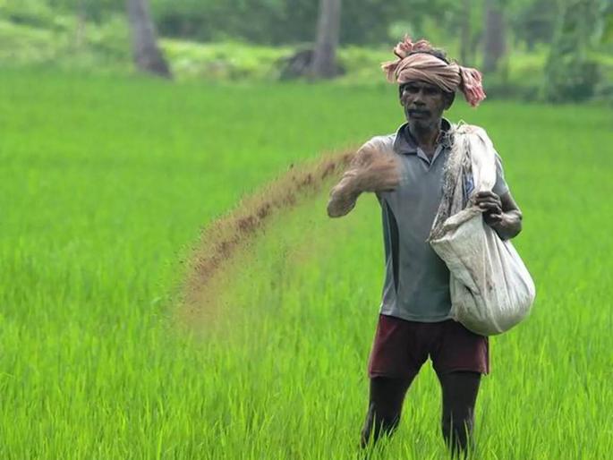 Failure to keep records; Nine licenses of agricultural centers canceled permanently | रेकॉर्ड न ठेवणे भोवले! कृषी केंद्रांचे नऊ परवाने कायमस्वरूपी रद्द; कृषी विभागाची कारवाई Failure to keep records; Nine licenses of agricultural centers canceled permanently | रेकॉर्ड न ठेवणे भोवले! कृषी केंद्रांचे नऊ परवाने कायमस्वरूपी रद्द; कृषी विभागाची कारवाई