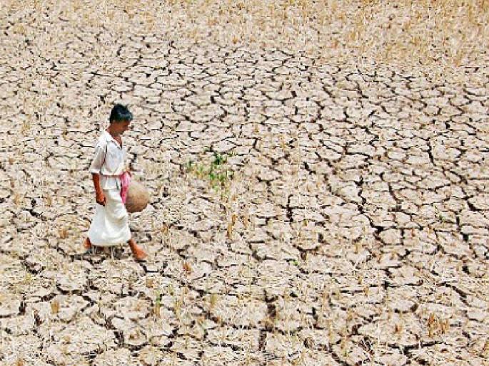 Farmers to get Compensation as Rainfall rests in 53 Areas Commissioner of Agriculture's order of survey | ५३ मंडळांत पावसाचा खंड; शेतकऱ्यांना मिळणार भरपाई; सर्वेक्षणाचे कृषी आयुक्तांचे आदेश Farmers to get Compensation as Rainfall rests in 53 Areas Commissioner of Agriculture's order of survey | ५३ मंडळांत पावसाचा खंड; शेतकऱ्यांना मिळणार भरपाई; सर्वेक्षणाचे कृषी आयुक्तांचे आदेश