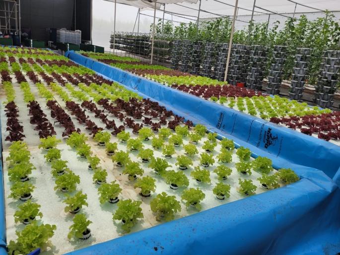 Construction of country's first 'Farm of the Future' in 'Krishik', world-class agricultural exhibition at Baramati | 'कृषिक'मध्ये ‘फार्म ऑफ द फ्यूचर’ची उभारणी, बारामतीत जागतिक दर्जाचे कृषी प्रदर्शन Construction of country's first 'Farm of the Future' in 'Krishik', world-class agricultural exhibition at Baramati | 'कृषिक'मध्ये ‘फार्म ऑफ द फ्यूचर’ची उभारणी, बारामतीत जागतिक दर्जाचे कृषी प्रदर्शन