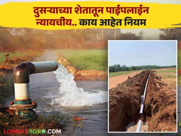 What is the law if there is a problem while laying a pipeline through someone else's field.. read in detail | दुसऱ्याच्या शेतातून पाईपलाईन टाकताना अडचण आल्यास काय आहे कायदा.. वाचा सविस्तर What is the law if there is a problem while laying a pipeline through someone else's field.. read in detail | दुसऱ्याच्या शेतातून पाईपलाईन टाकताना अडचण आल्यास काय आहे कायदा.. वाचा सविस्तर