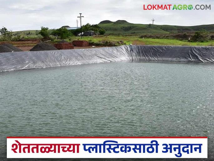 A subsidy of Rs 1 lakh is being provided for plastic lining in farm ponds; Read in detail | शेततळ्यात प्लास्टिक अस्तरीकरण करण्यास मिळतंय १ लाखाचे अनुदान; वाचा सविस्तर A subsidy of Rs 1 lakh is being provided for plastic lining in farm ponds; Read in detail | शेततळ्यात प्लास्टिक अस्तरीकरण करण्यास मिळतंय १ लाखाचे अनुदान; वाचा सविस्तर
