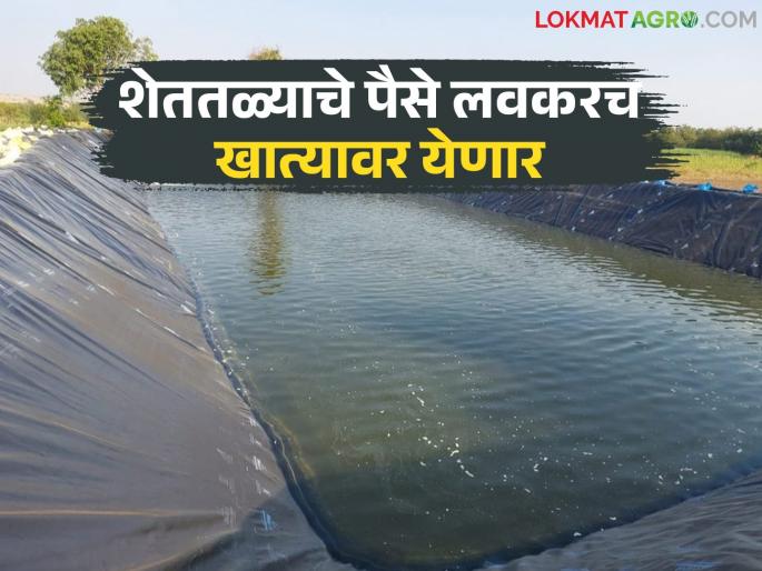 Money will soon be deposited in the accounts of beneficiaries selected under the farm pond scheme; Now 'this' new method is implemented | शेततळे योजनेत निवड झालेल्या लाभार्थ्यांच्या खात्यावर लवकरच पैसे जमा होणार; आता 'ही' नवीन पद्धत लागू Money will soon be deposited in the accounts of beneficiaries selected under the farm pond scheme; Now 'this' new method is implemented | शेततळे योजनेत निवड झालेल्या लाभार्थ्यांच्या खात्यावर लवकरच पैसे जमा होणार; आता 'ही' नवीन पद्धत लागू