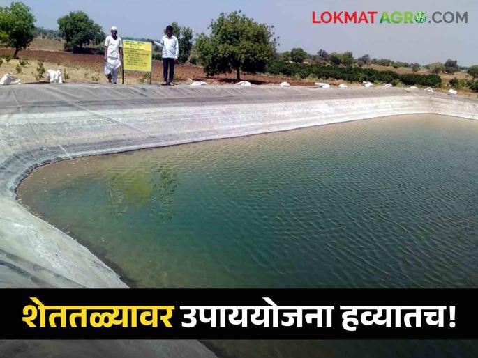 Latest News Drowning in farm ponds rising concern in maharashtra rural | Agriculture News : शेततळी बांधा, पण सुरक्षेची काळजीही घ्या, कारण... जाणून घ्या सविस्तर