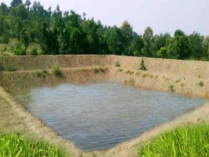 Shortage of funds; Government itself admitted to farm ponds; Agriculture Minister gave information: Hands are shaking while giving money | निधीटंचाई; शेततळ्यांना सरकारनेच दिली कबुली; कृषिमंत्र्यांनी दिली माहिती : रक्कम देताना हात आखडता Shortage of funds; Government itself admitted to farm ponds; Agriculture Minister gave information: Hands are shaking while giving money | निधीटंचाई; शेततळ्यांना सरकारनेच दिली कबुली; कृषिमंत्र्यांनी दिली माहिती : रक्कम देताना हात आखडता