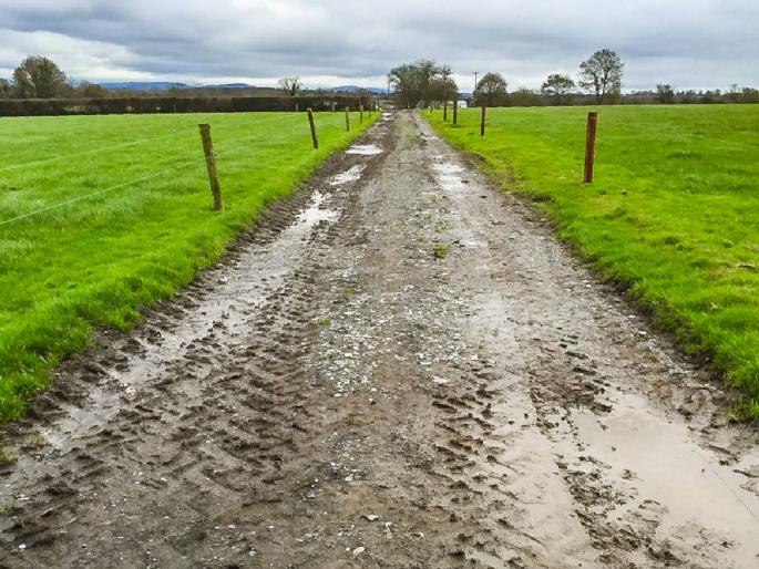 Villages without roads | बिना रस्त्याची गावं! ठाणे जिल्ह्यात ११० गावांना रस्ते नसताना रुग्णवाहिका सेवा देण्याचे आदेश Villages without roads | बिना रस्त्याची गावं! ठाणे जिल्ह्यात ११० गावांना रस्ते नसताना रुग्णवाहिका सेवा देण्याचे आदेश