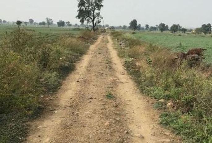 Buldana: Helping the campaign for the development of the tree! | बुलडाणा : अडचणीचे वृक्ष करताहेत शेतरस्ता अभियानाला मदत! Buldana: Helping the campaign for the development of the tree! | बुलडाणा : अडचणीचे वृक्ष करताहेत शेतरस्ता अभियानाला मदत!