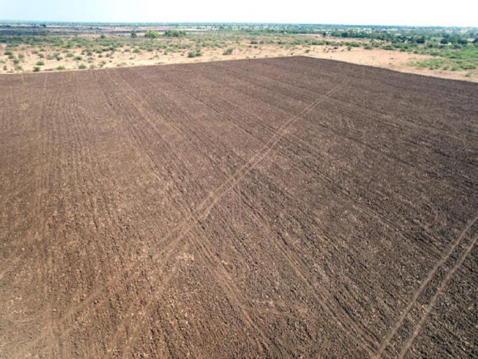 1,787 acres of fallow land of Parbhani Agricultural University brought under cultivable land | परभणी कृषी विद्यापीठातील १,७८७ एकर पडीत जमीन वहती खाली आणली 1,787 acres of fallow land of Parbhani Agricultural University brought under cultivable land | परभणी कृषी विद्यापीठातील १,७८७ एकर पडीत जमीन वहती खाली आणली