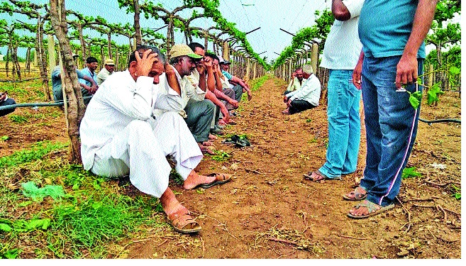 Regular farmer incentives will hang | नियमित शेतकऱ्यांचे प्रोत्साहन लटकणार-:कोरोनामुळे राज्याचे अर्थव्यवस्था अडचणीत
