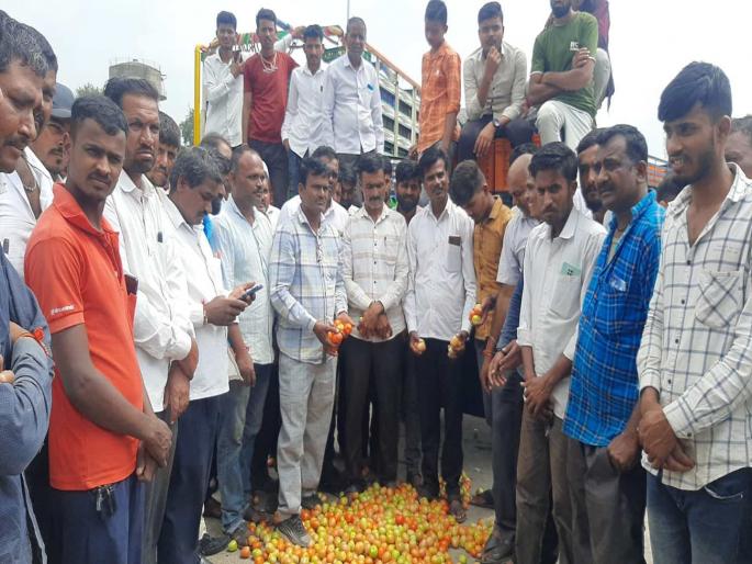 Day by day fall in the price of tomatoes, farmers angry | टोमॅटोला मातीमोल भाव, शेतकरी संतप्त; २० किलोला ५०-१०० रुपये दर Day by day fall in the price of tomatoes, farmers angry | टोमॅटोला मातीमोल भाव, शेतकरी संतप्त; २० किलोला ५०-१०० रुपये दर
